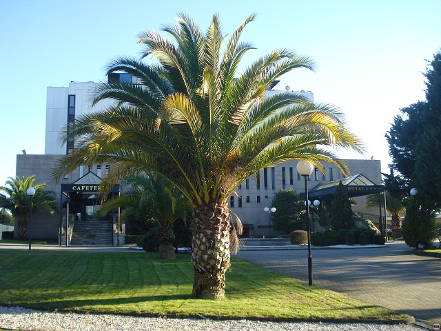 Španělsko - prosinec 2016